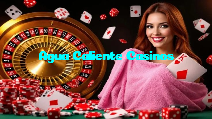 available types of Agua Caliente Casinos bet including pre-match live express and system bets